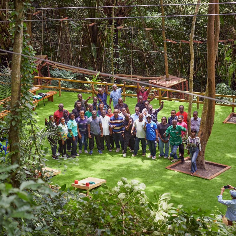 We-Ape Activity Field