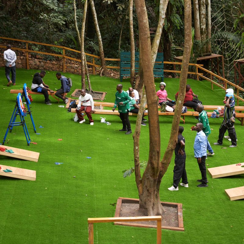 We-Ape Activity Field